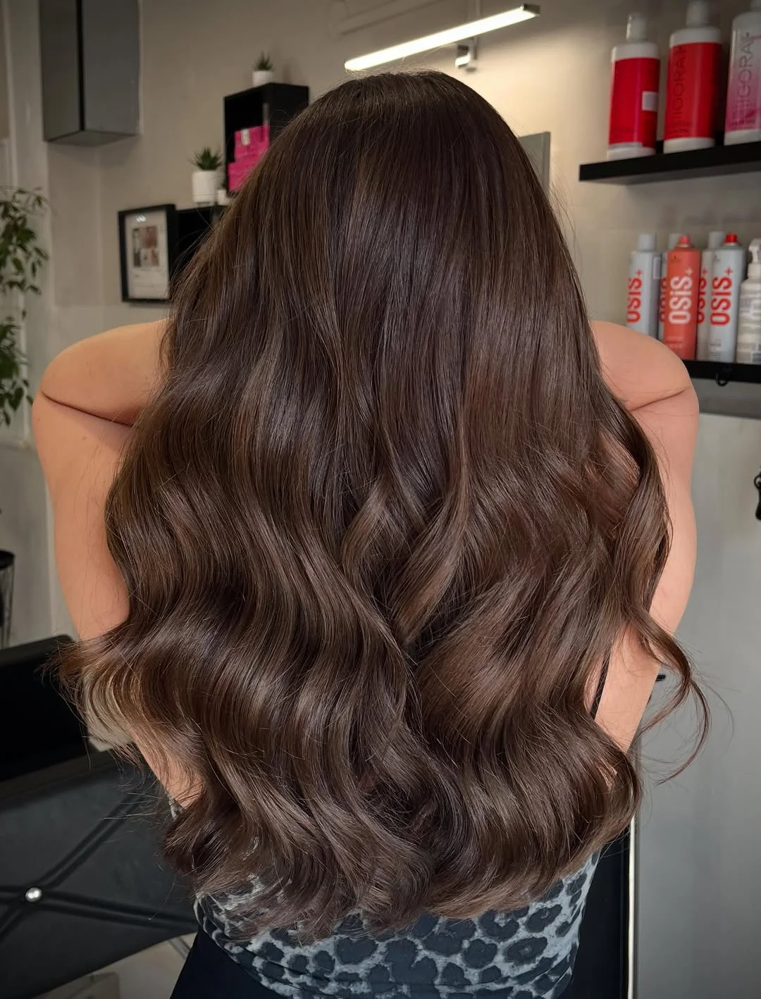 low lift summer mushroom brown hair color 2026 Glossy Brunette Mushroom Waves with Subtle Dimension