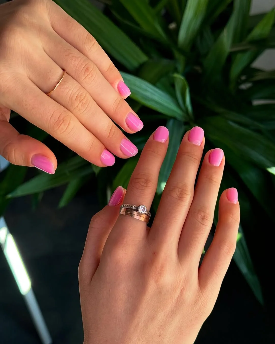 pink summer nails 2026 Fresh Pink Gradient Nails With Natural Summer Glow