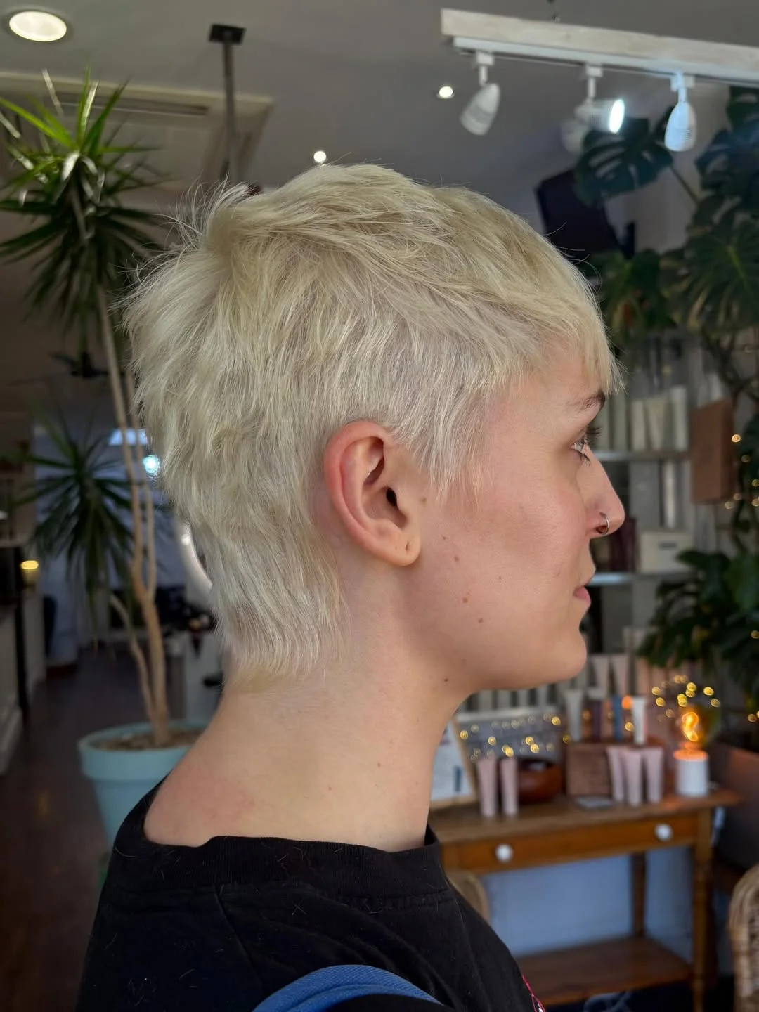salon summer pixie haircuts 2026 Soft Frosted Pixie Mullet With Feathered Ends